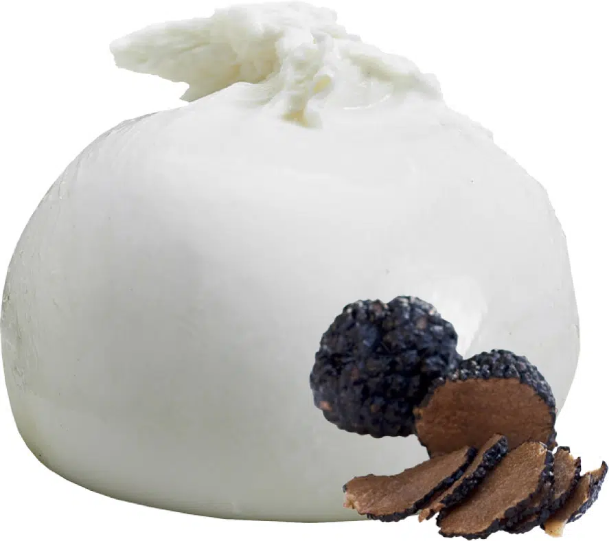 burrata_pugliese_tartufo_203306