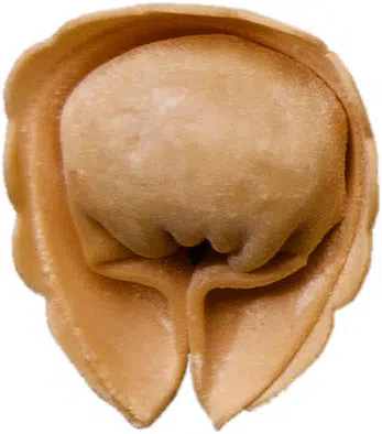 tortelloni_cepes_3512