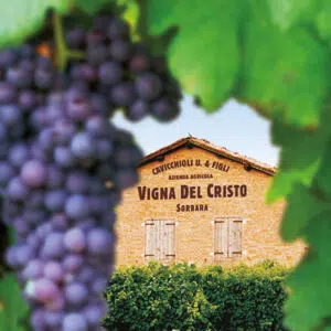 Cavicchioli