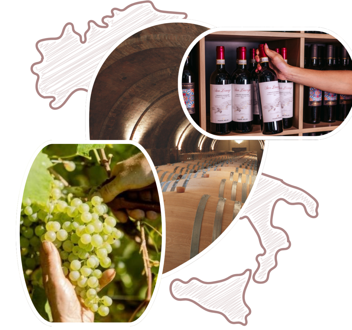 vin italien carniato